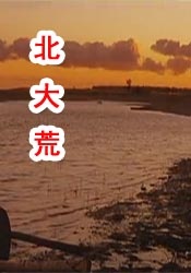 成人午夜精品
